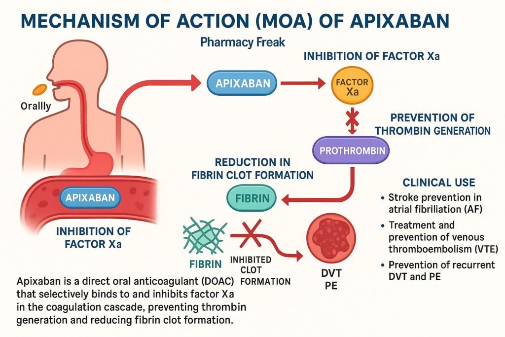 Mechanism of action of Apixaban