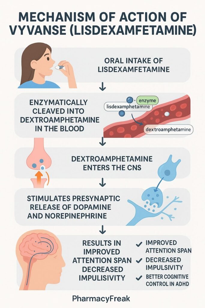 Mechanism of action of Vyvanse flowchart