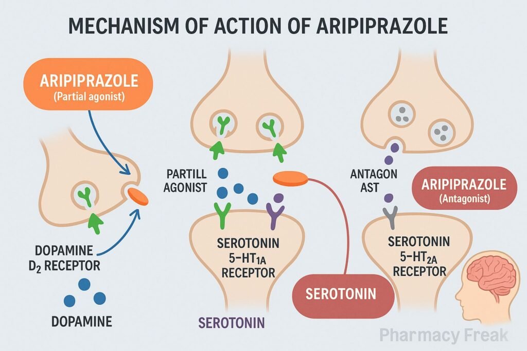 Aripiprazole mechanism of action