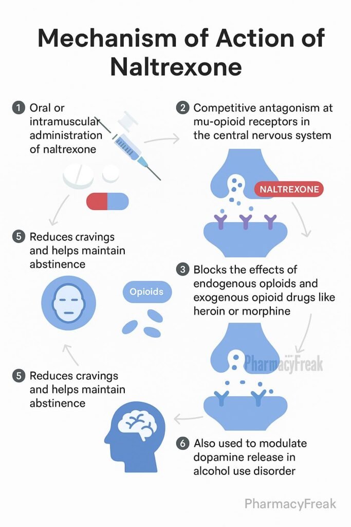 mechanism of action of Naltrexone flowchart