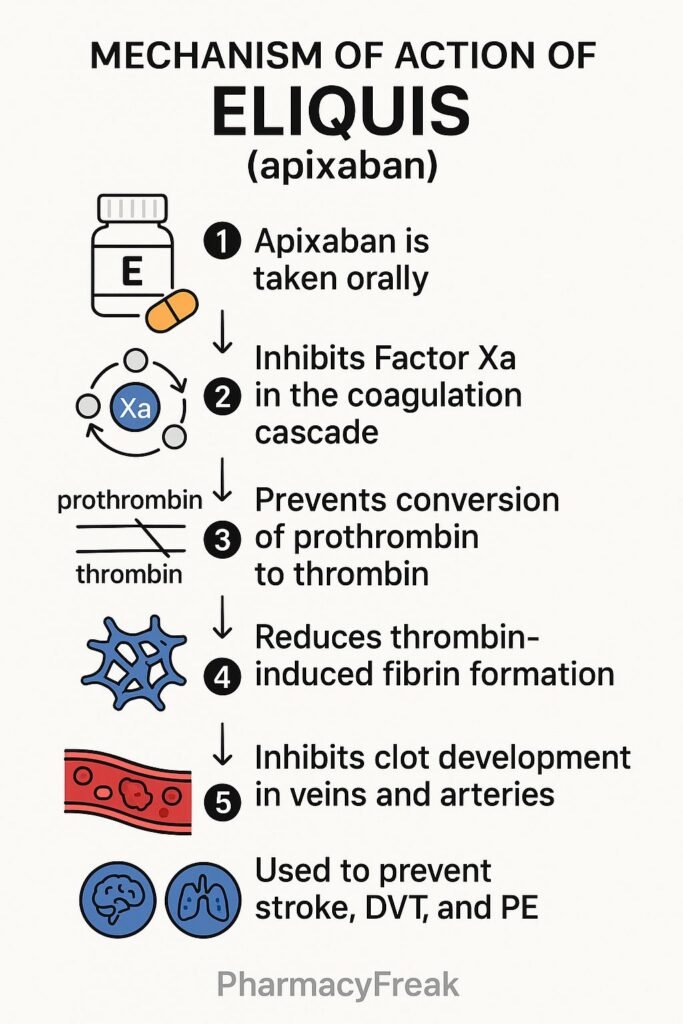 Mechanism of action of Eliquis flowchart