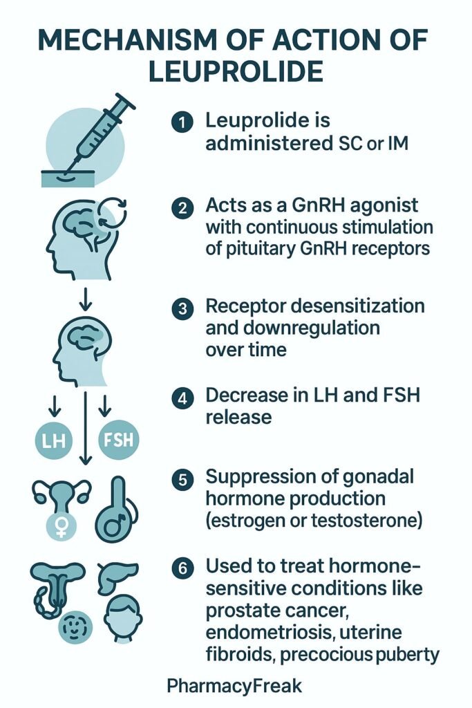 Mechanism of action of Leuprolide flowchart