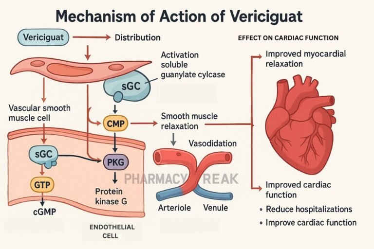 Mechanism of action of Vericiguat