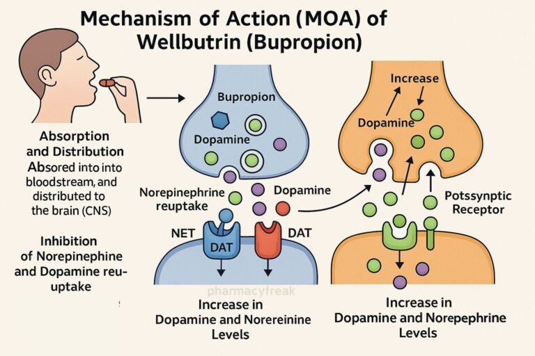 Mechanism of action of Wellbutrin