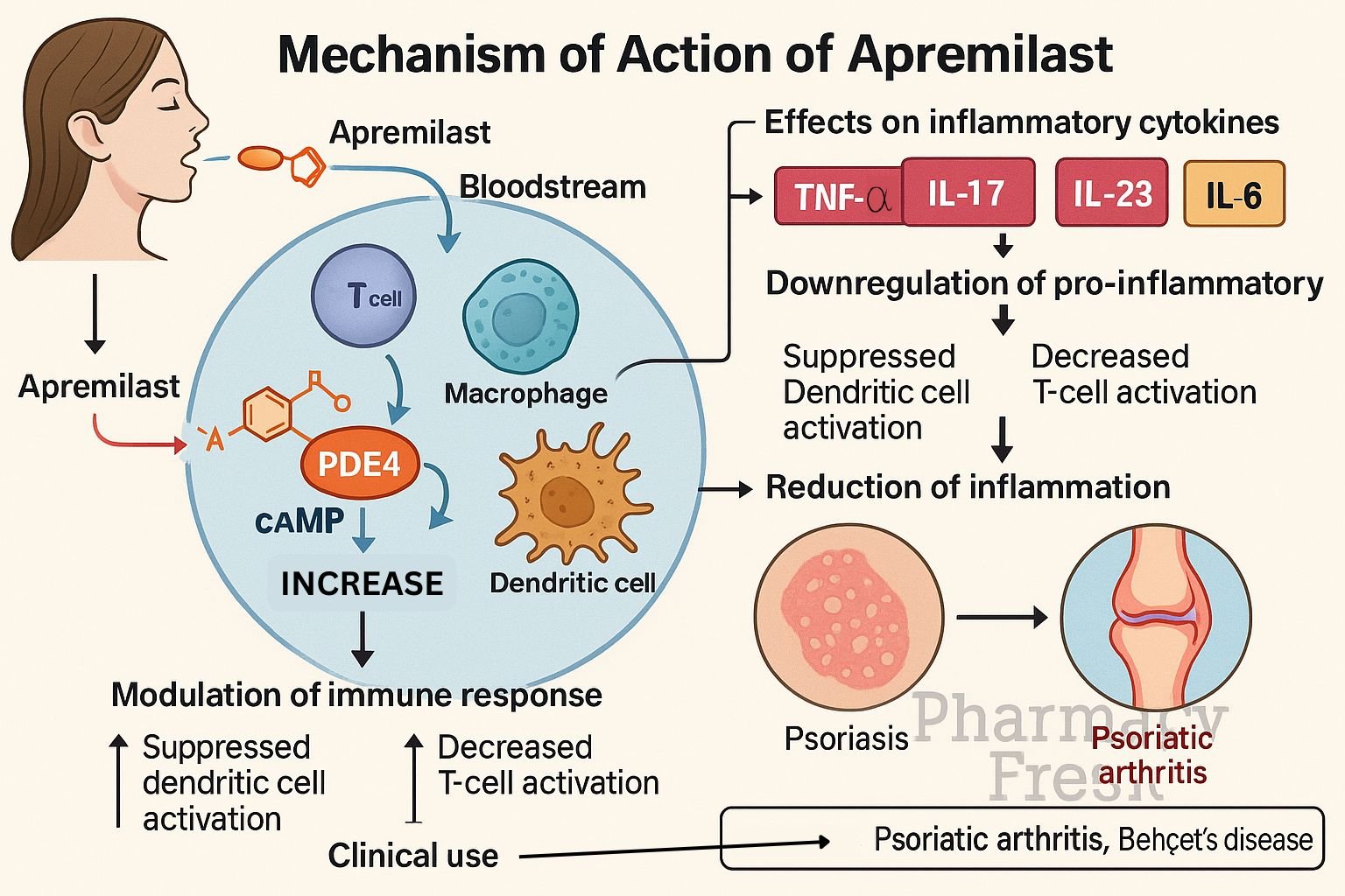 Mechanism of action of Apremilast