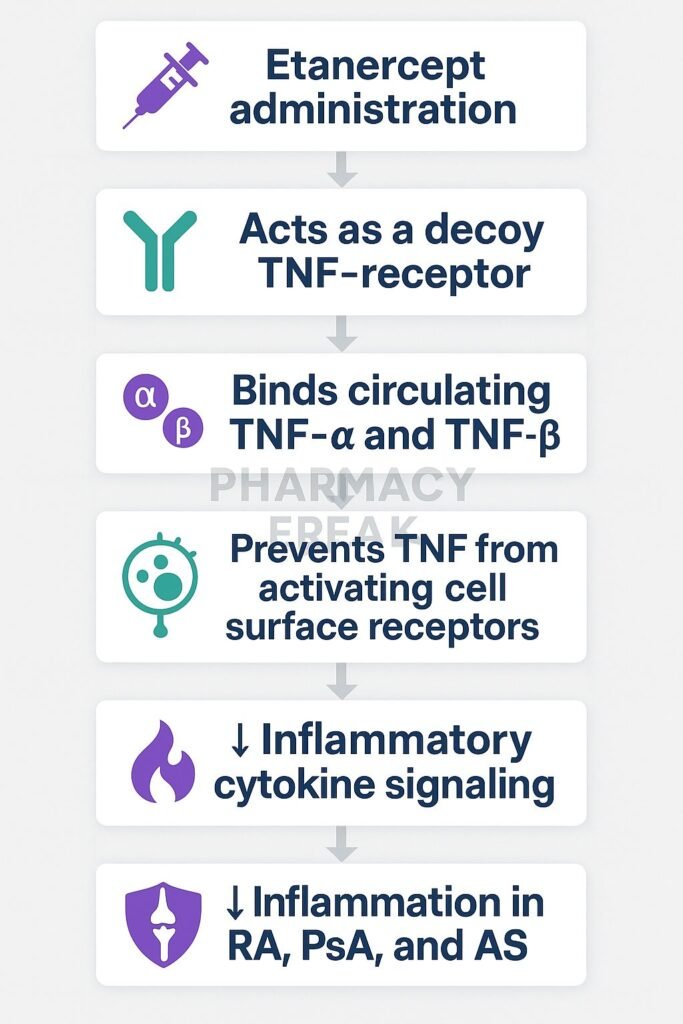 Mechanism of action of Etanercept flowchart