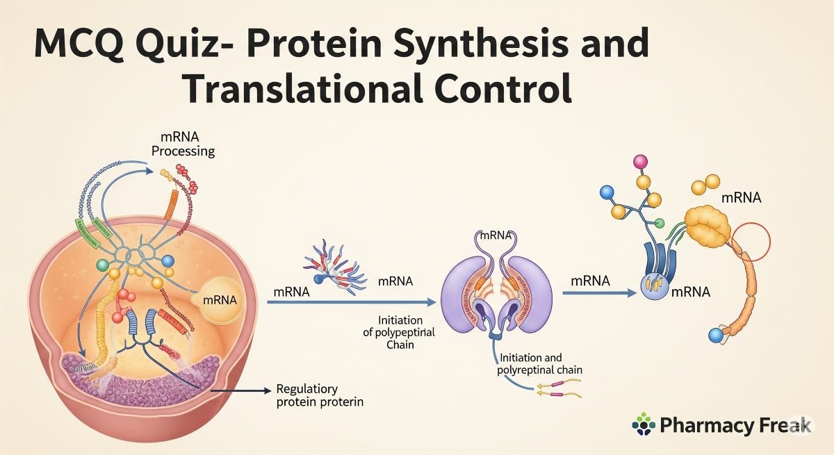 MCQ Quiz- Protein Synthesis and Translational Control
