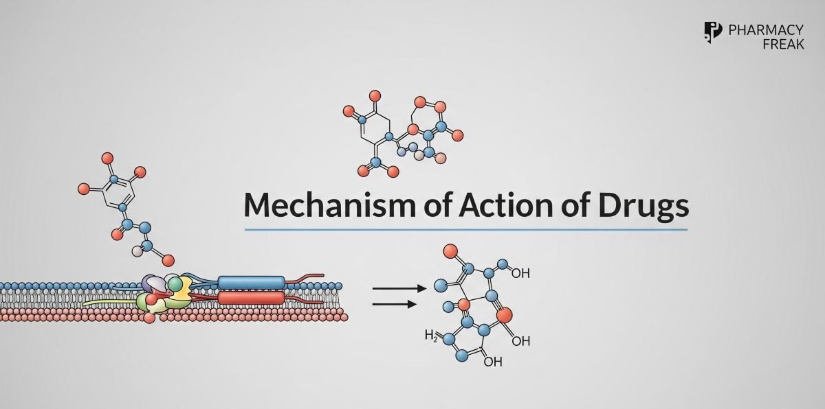 Mechanism of action of drugs
