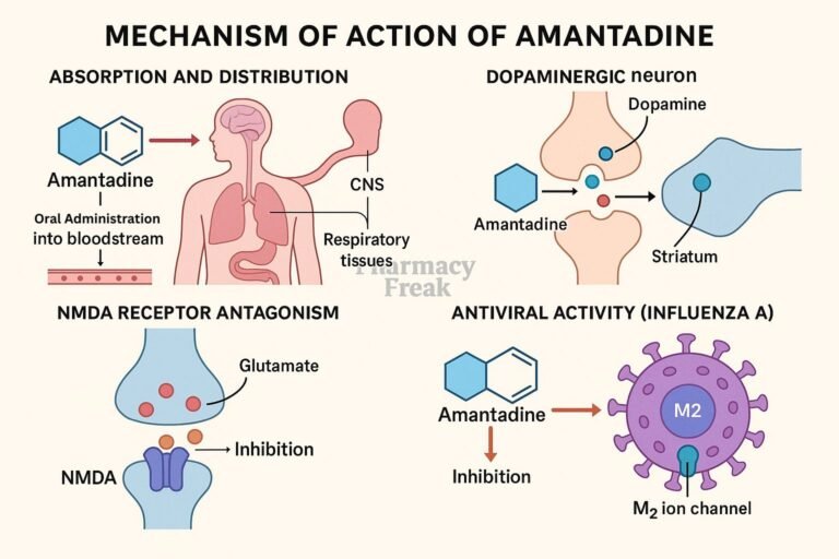 Mechanism of action of Amantadine