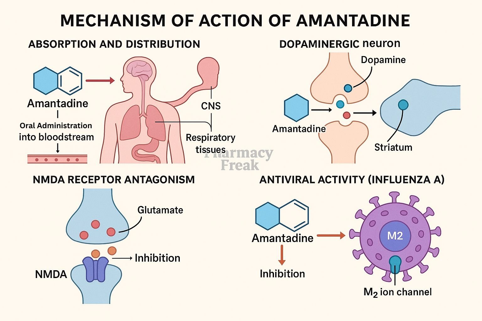 Mechanism of action of Amantadine