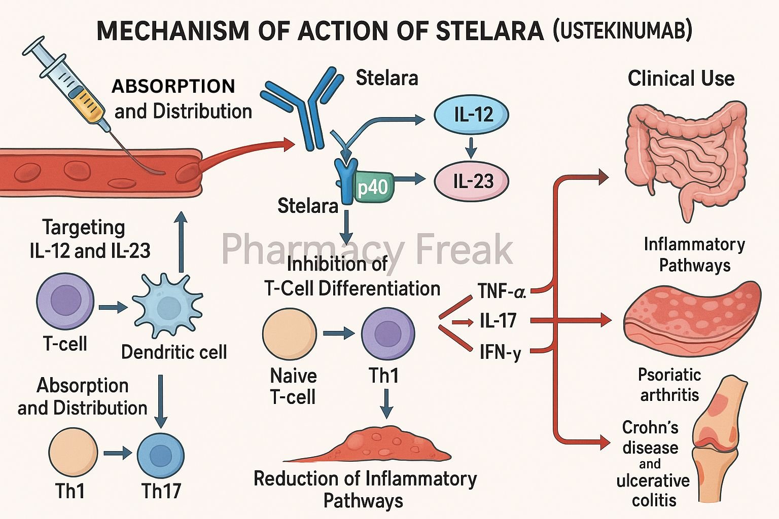Mechanism of action of Stelara