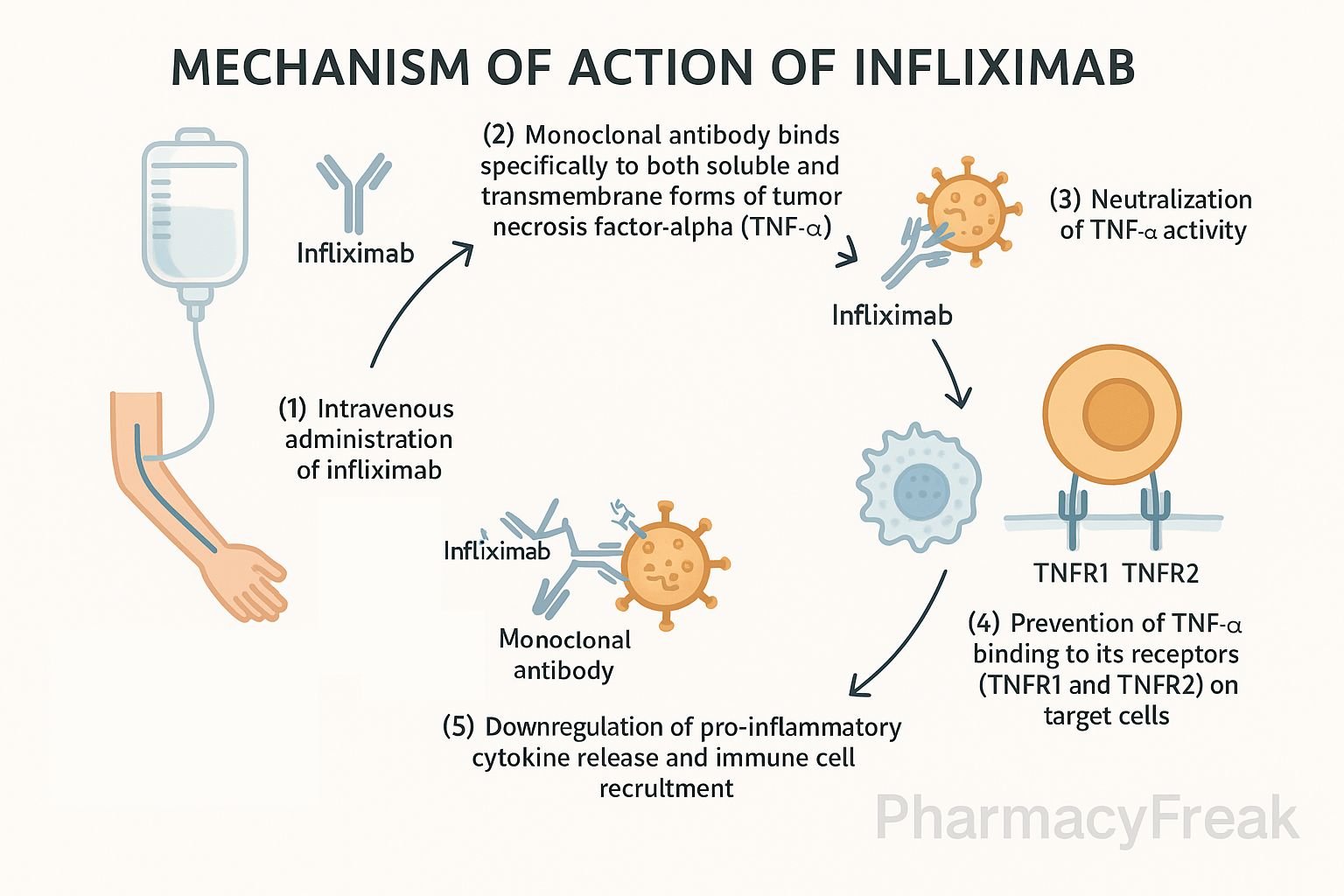 Mechanism of action of Infliximab