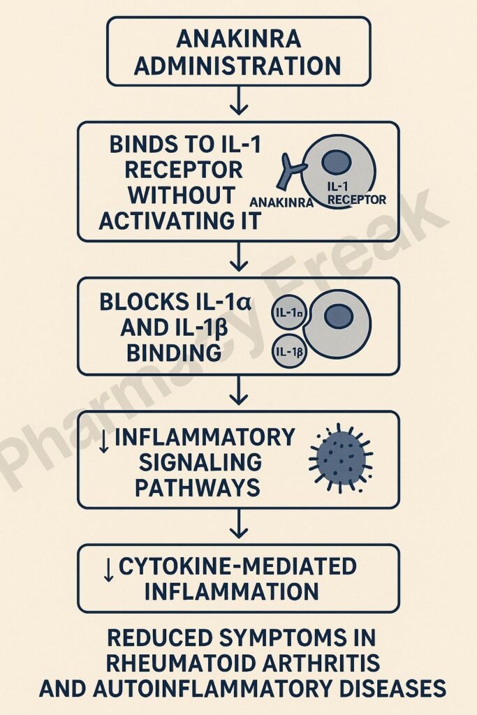  Mechanism of action of Anakinra flowchart