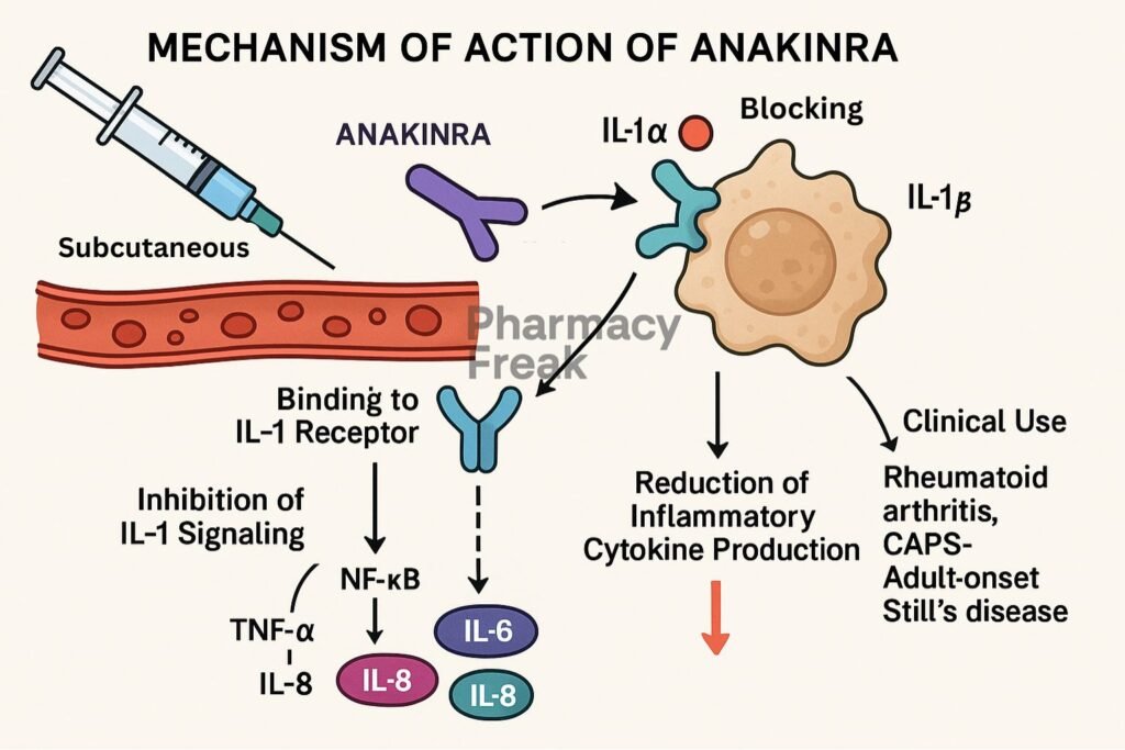Mechanism of Action of Anakinra