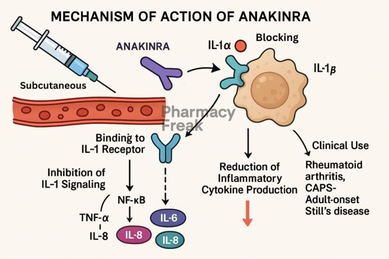 Mechanism of action of Anakinra