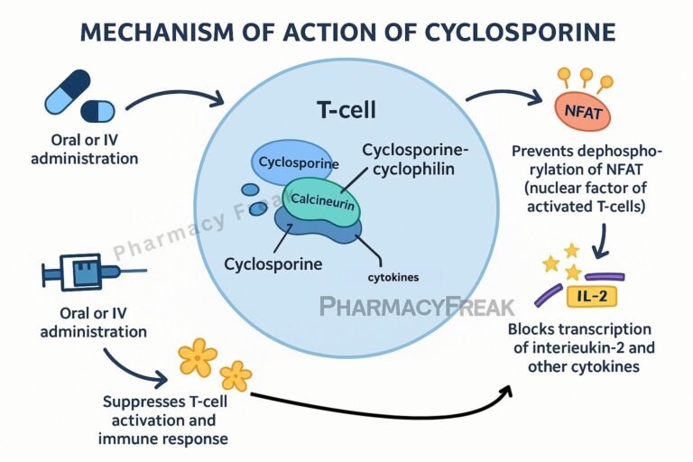 Mechanism of action of Cyclosporine