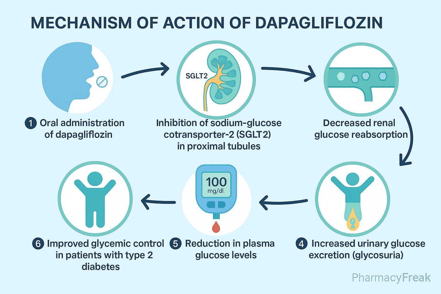 Mechanism of action of Dapagliflozin