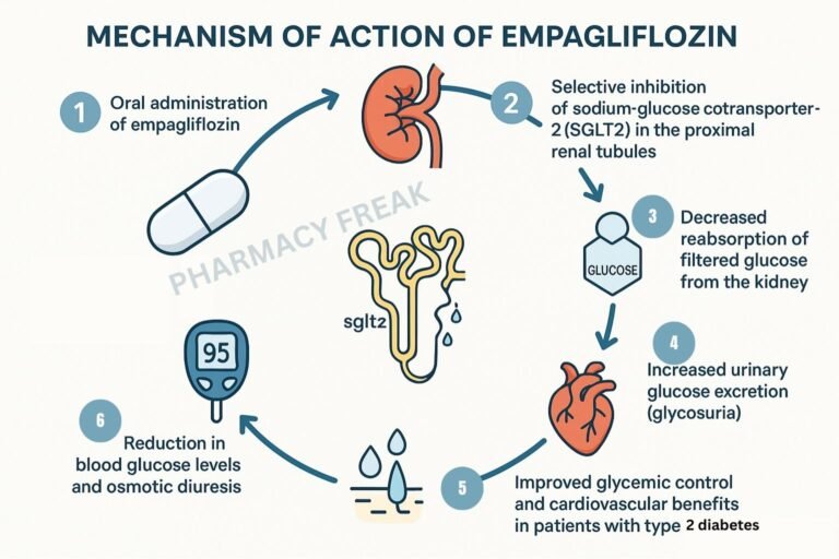 Mechanism of action of Empagliflozin