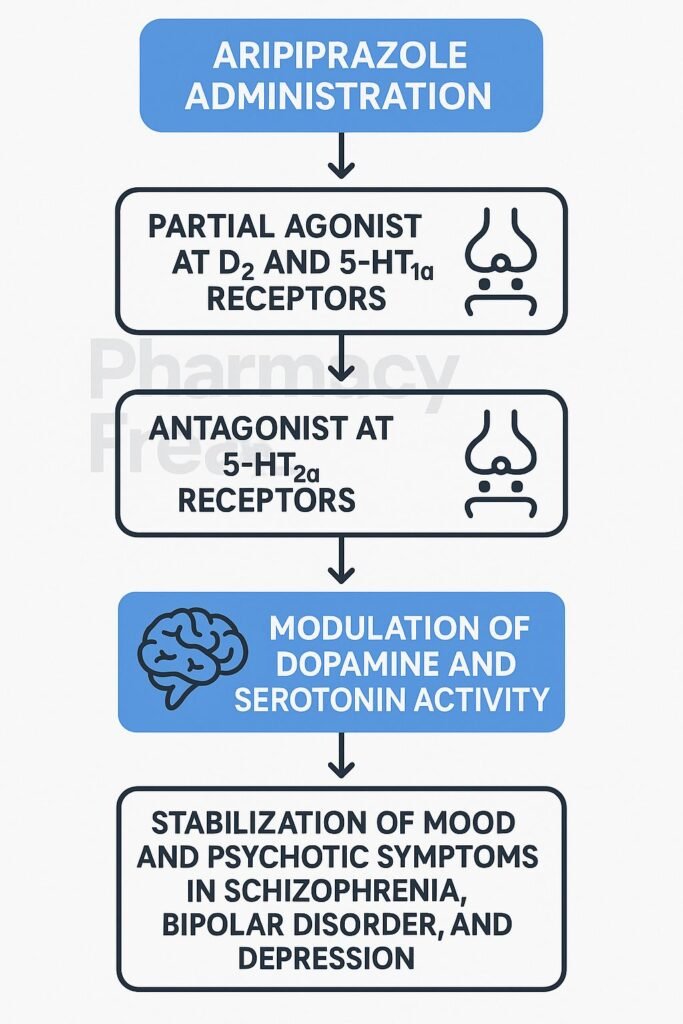 Mechanism of action of Aripiprazole flowchart