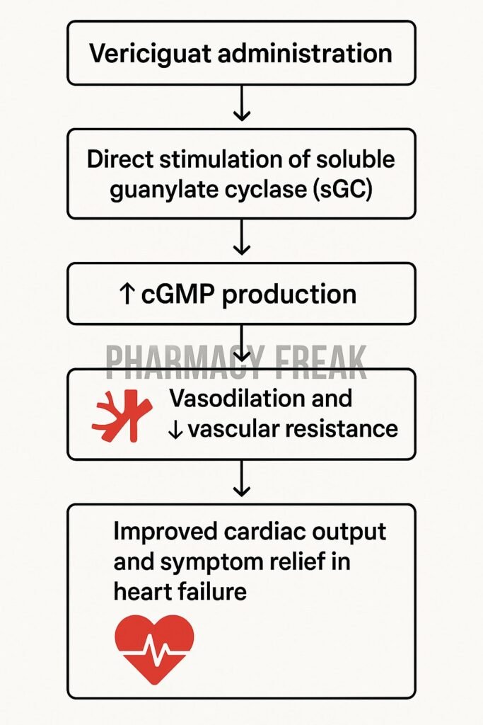 Mechanism of action of Vericiguat flowchart