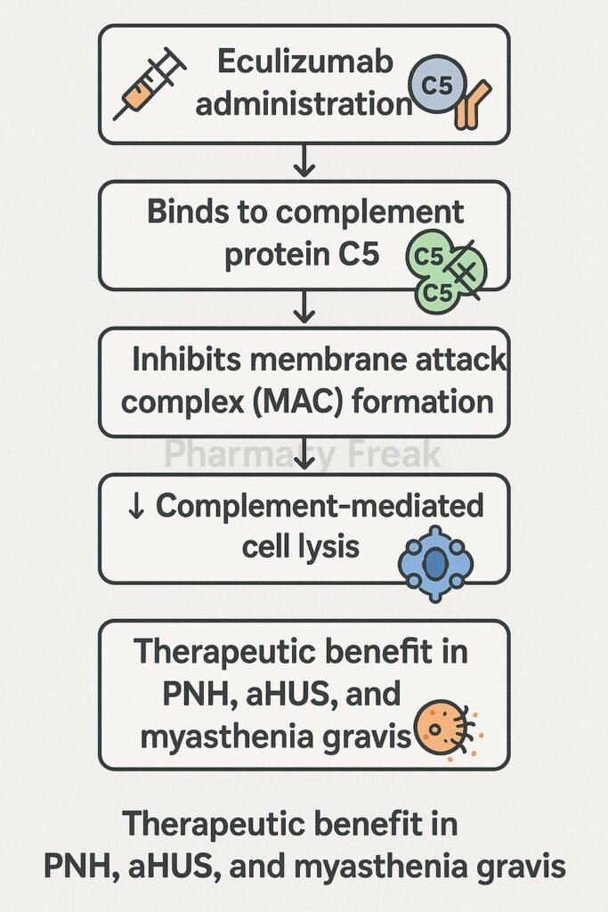 Mechanism of action of Eculizumab flowchart