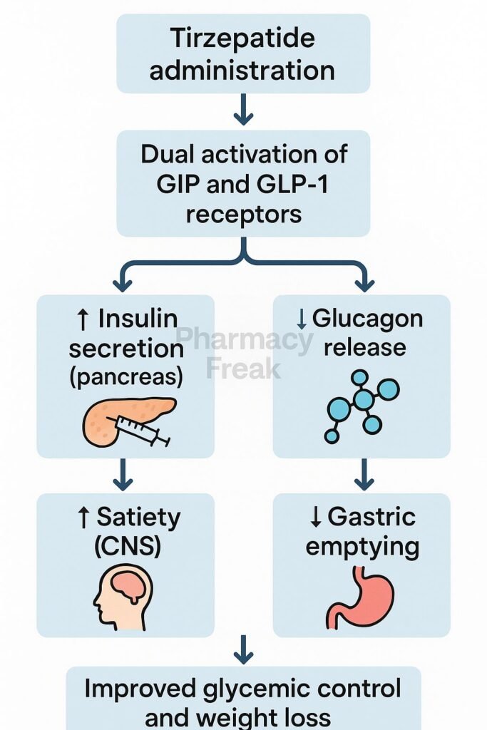 Mechanism of action of monjouro Flowchart