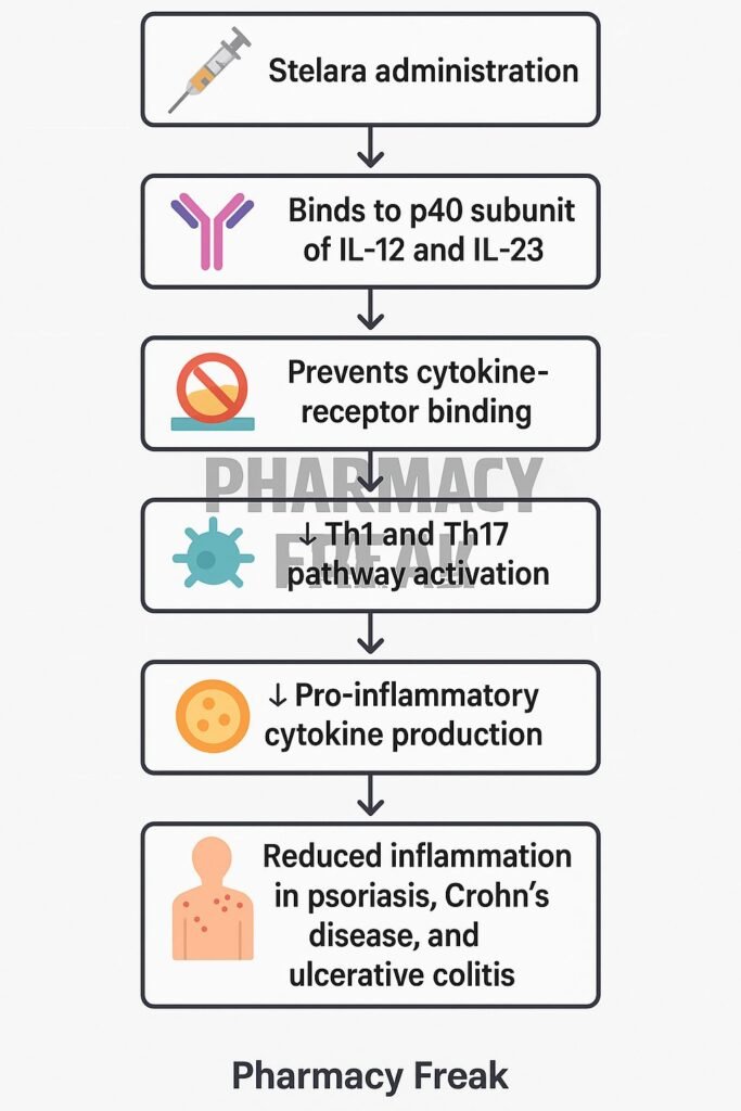 Mechanism of action of Stelara flowchart