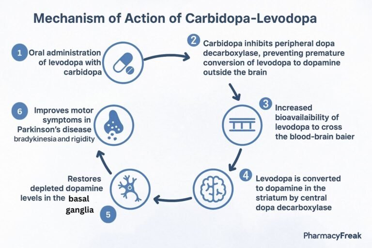 Mechanism of action of Carbidopa–Levodopa