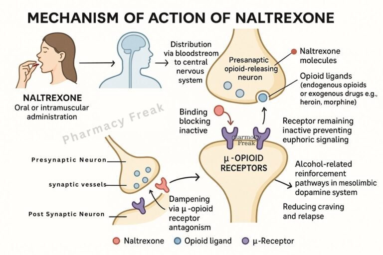 Mechanism of action of Naltrexone