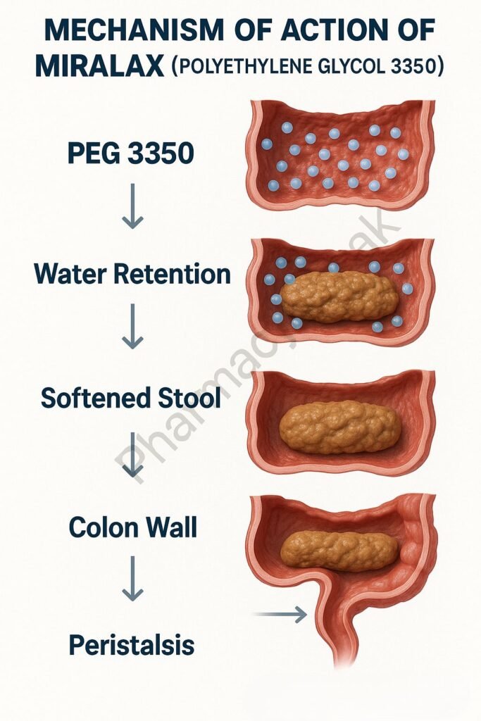 Miralax mechanism of action flowchart