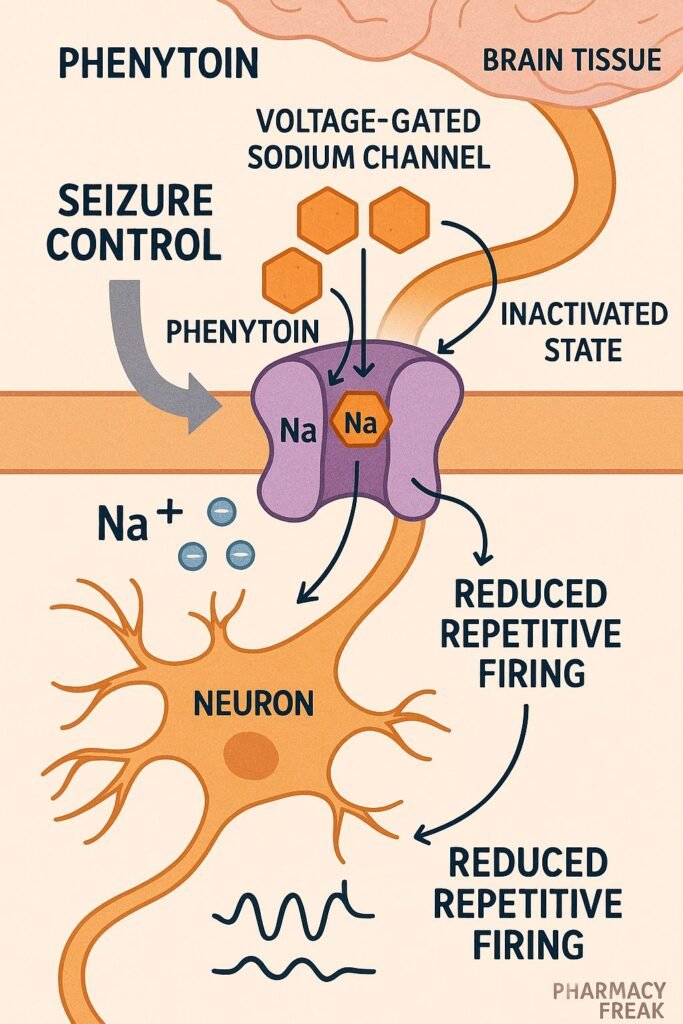 mechanism of action of phenytoin flowchart 3