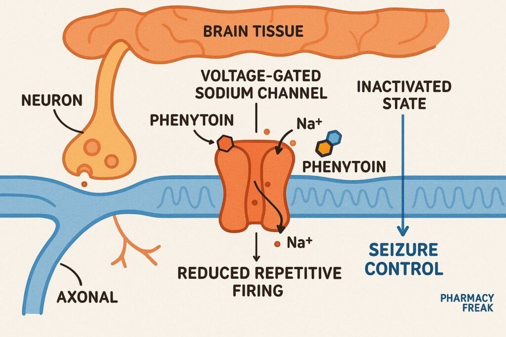 mechanism of action of phenytoin
