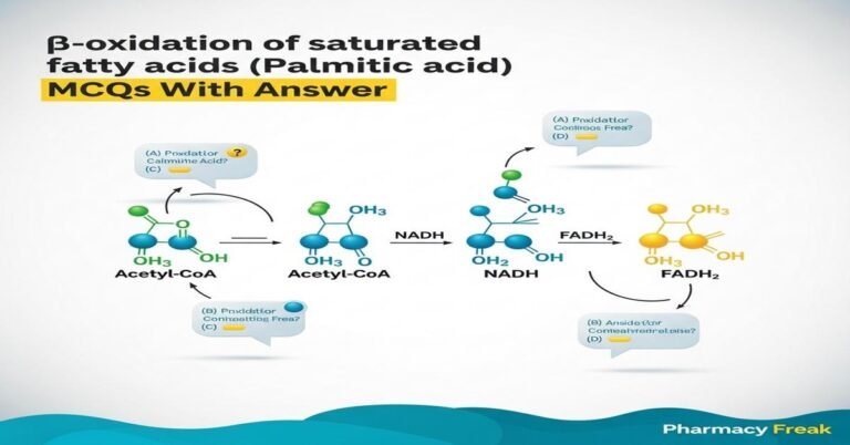 β-oxidation of saturated fatty acids (Palmitic acid) MCQs With Answer