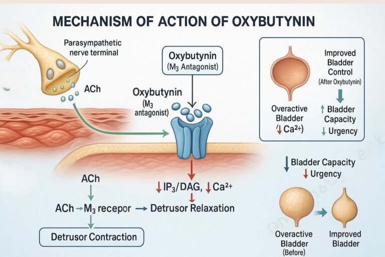 Nicardipine pharmacology