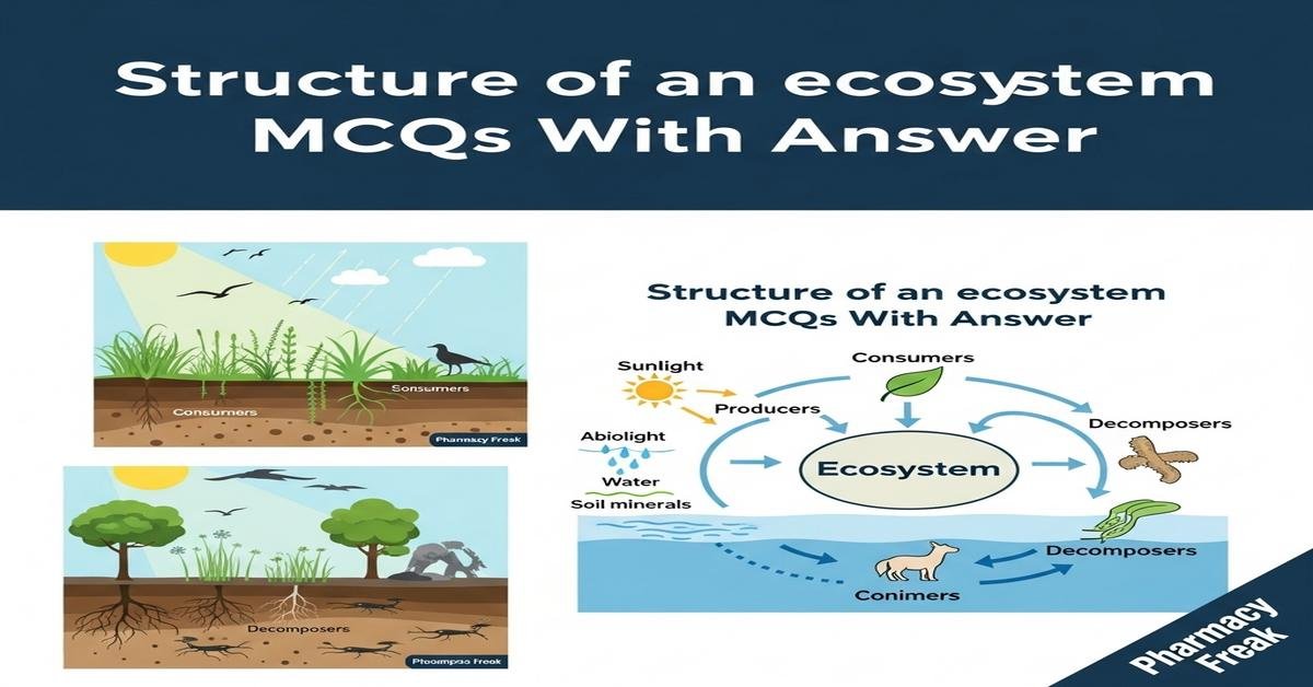 Structure of an ecosystem MCQs With Answer