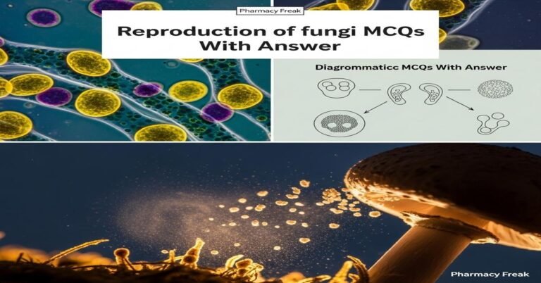 Reproduction of fungi MCQs With Answer