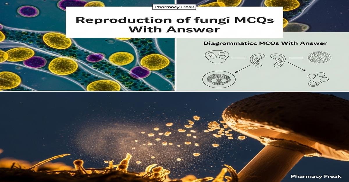Reproduction of fungi MCQs With Answer