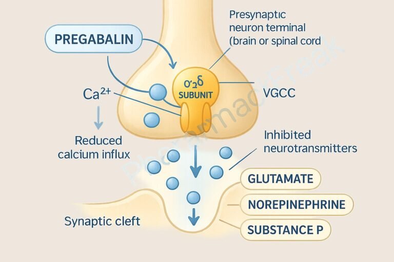 MOA of Pregabalin