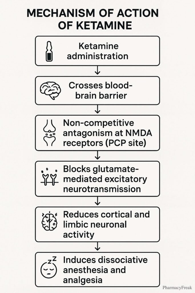 mechanism of action of ketamine flowchart