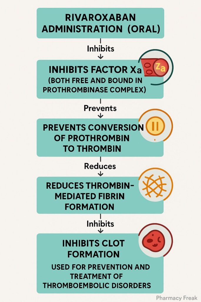 mechanism of action of rivaroxaban flowchart