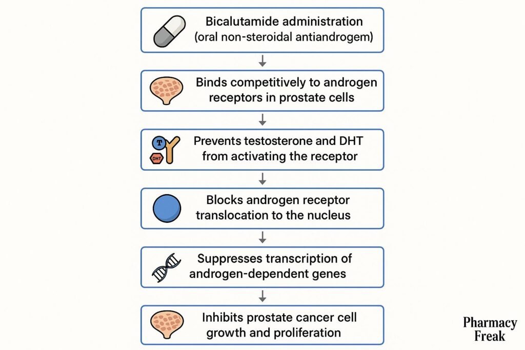mechanism of action of bicalutamide flowchart