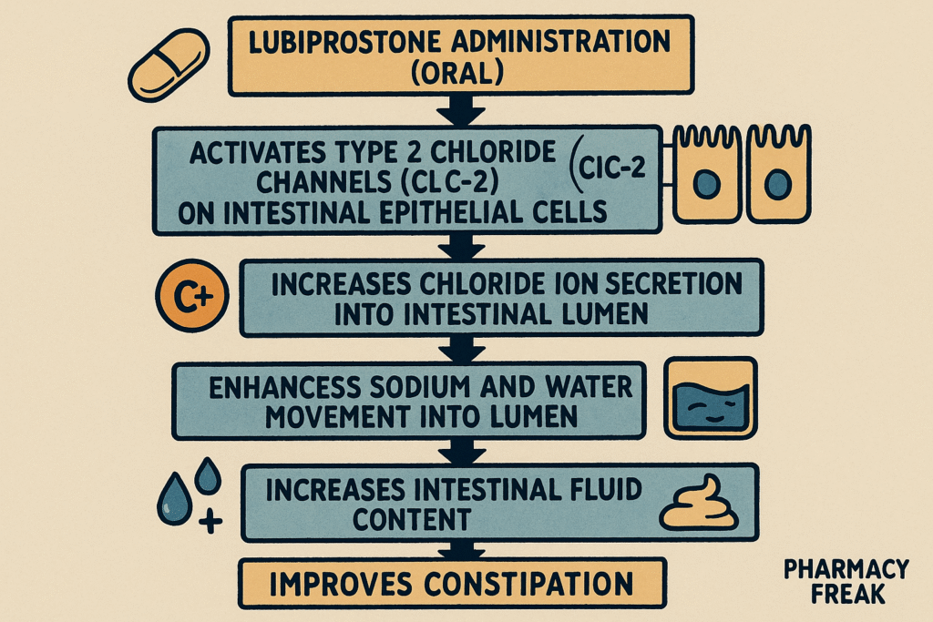 mechanism of action of lubiprostone flowchart