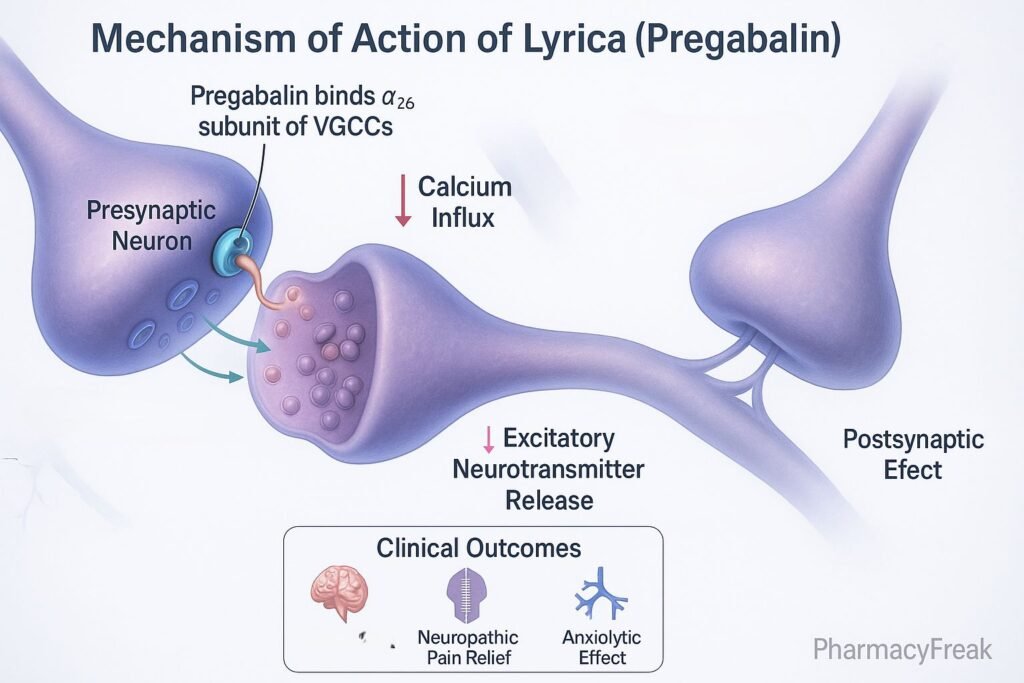 Pregabalin pharmacology