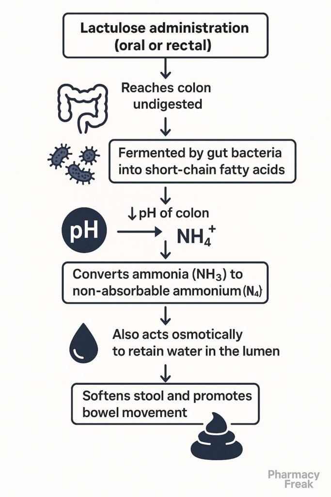mechanism of action of lactulose flowchart