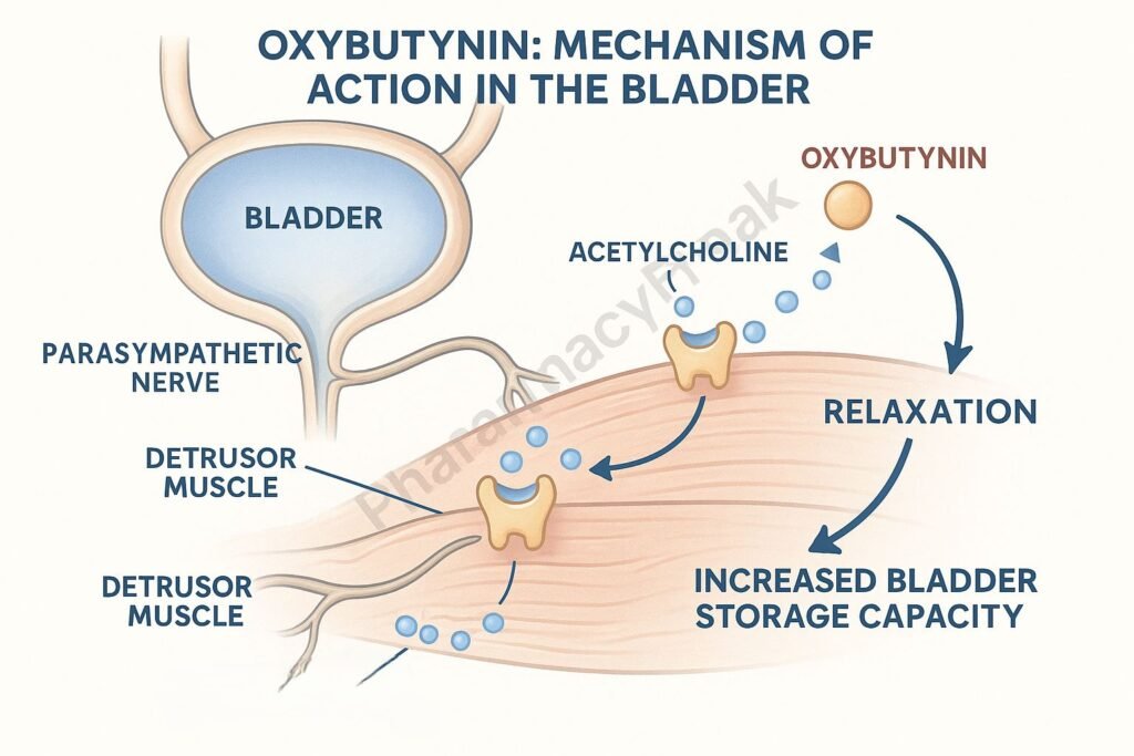 Nicardipine mechanism of action