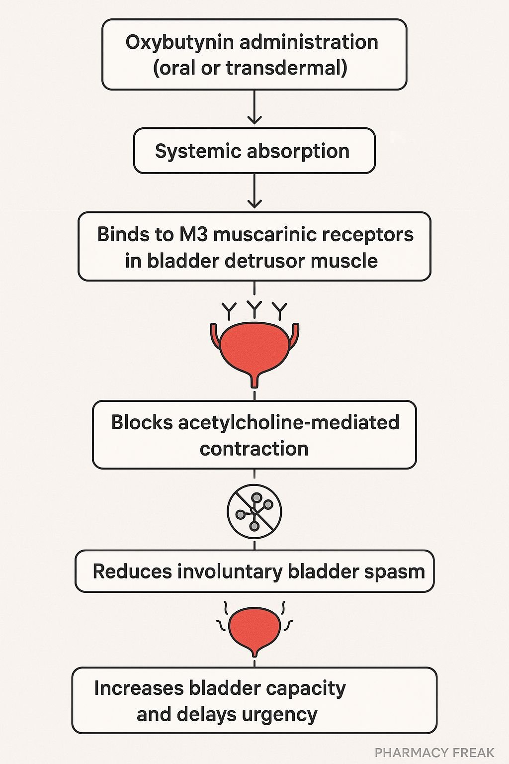Mechanism of Action of Oxybutynin