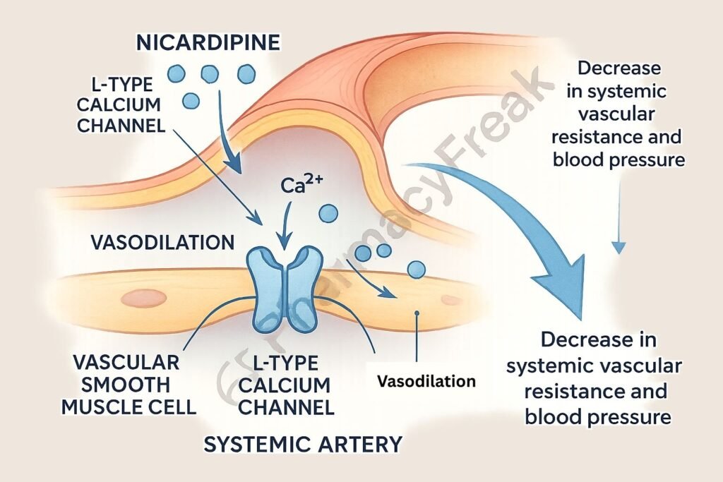 MOA of Nicardipine