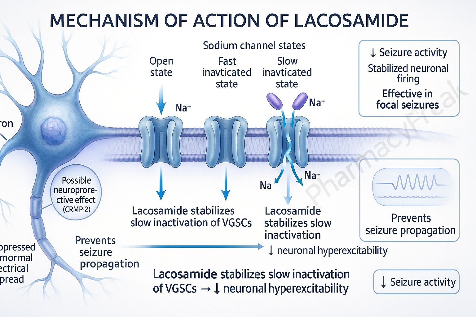 mechanism of action of lacosamide