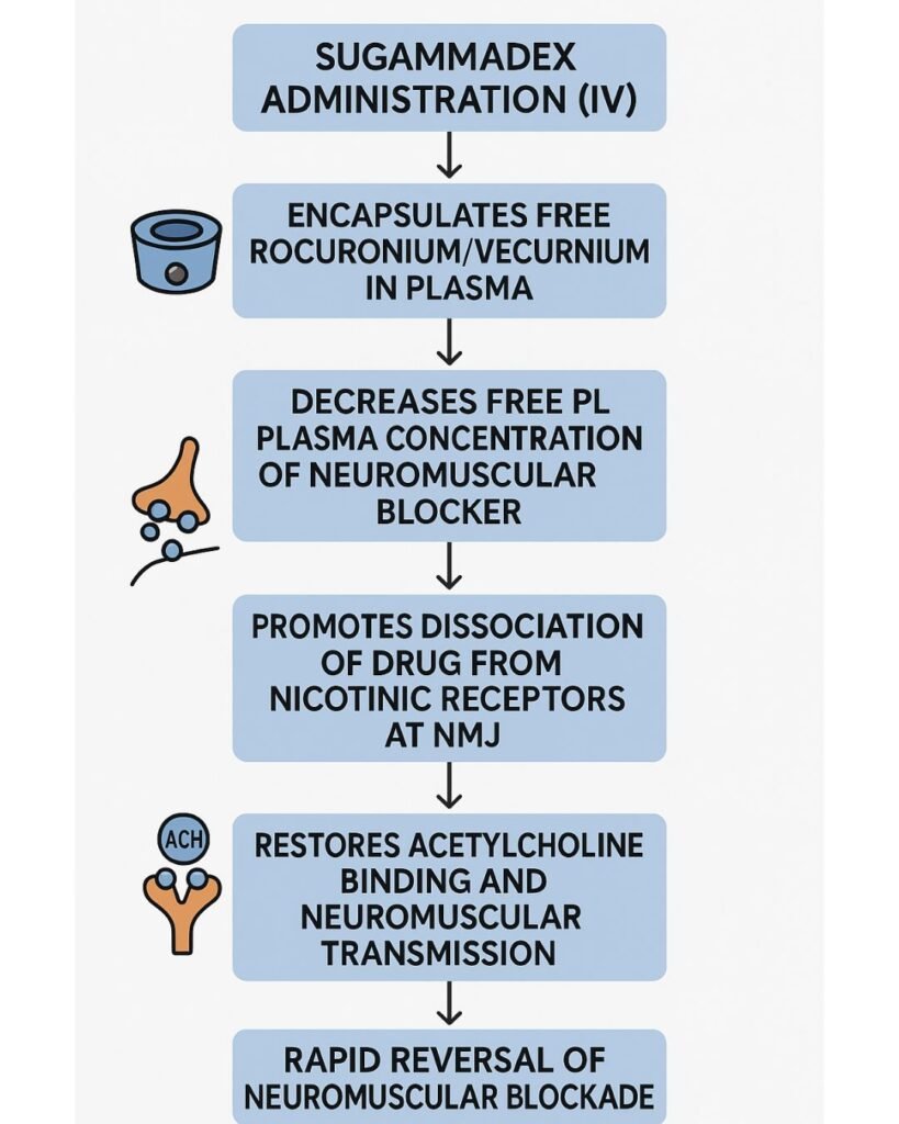 mechanism of action of sugammadex flowchart