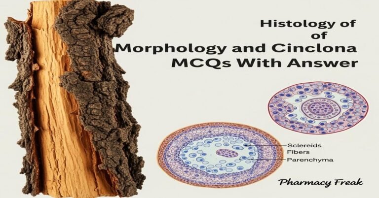 Morphology and histology of Cinchona MCQs With Answer